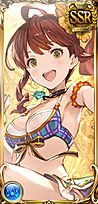 水着ディアンサ