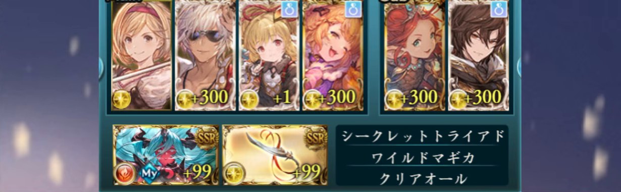 パーティ編成(主人公+前衛3+サブ2、EXアビ=シークレットトライアド/ワイルドマギカ/クリアオール)